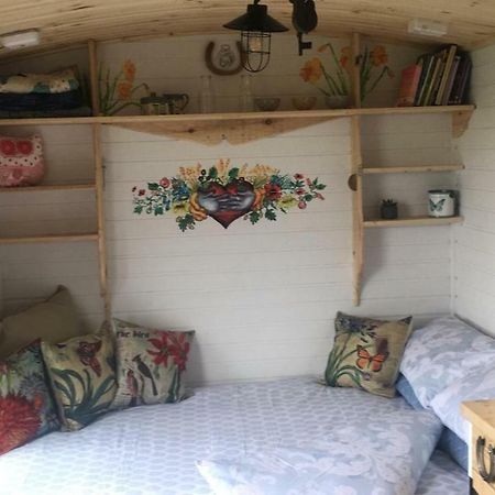 Clydesdale Shepherds Hut Otel Belfast Dış mekan fotoğraf